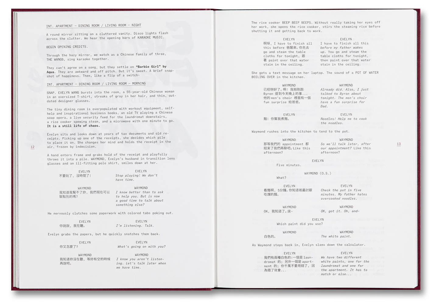 Everything Everywhere All at Once Screenplay Book - Image 3