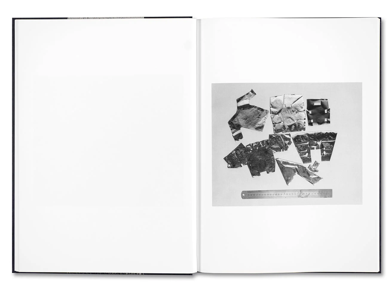 Evidence - Image 11