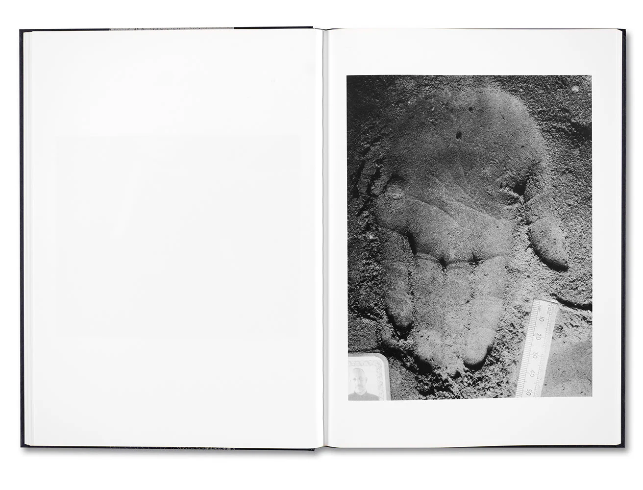 Evidence - Image 15