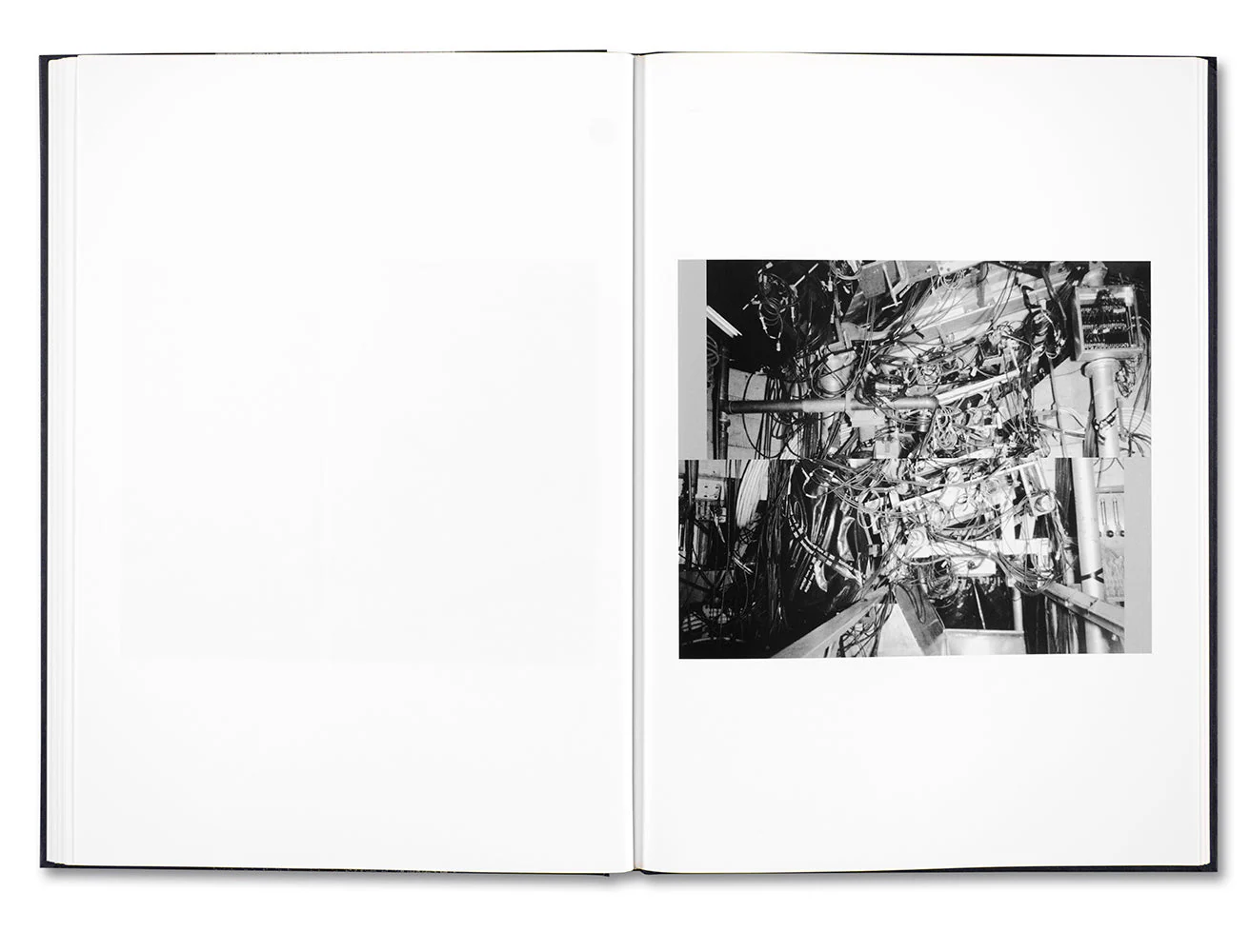 Evidence - Image 21