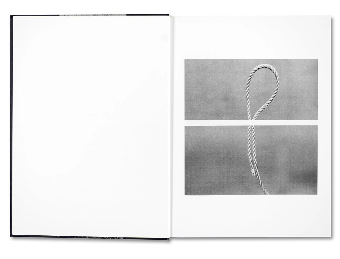 Evidence - Image 4