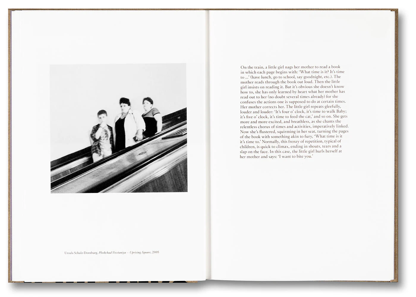 Exteriors: Annie Ernaux and Photography - Image 13