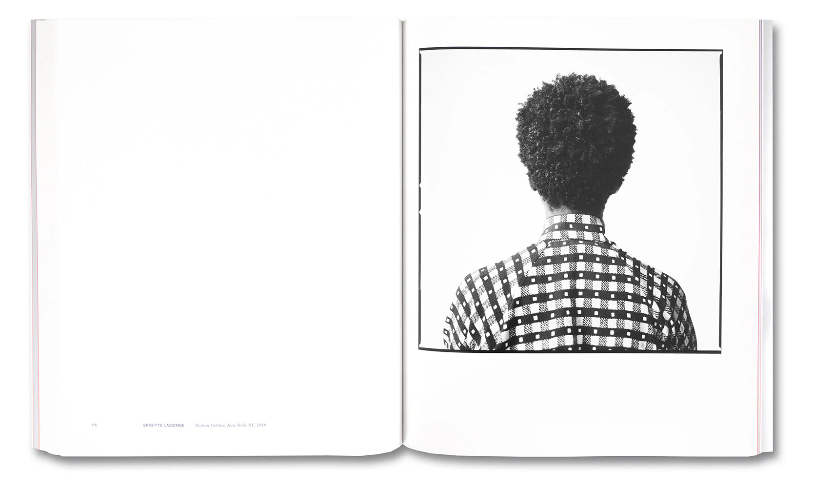 Face to Face: Portraits of Artists by Tacita Dean, Brigitte Lacombe, and Catherine Opie - Image 20