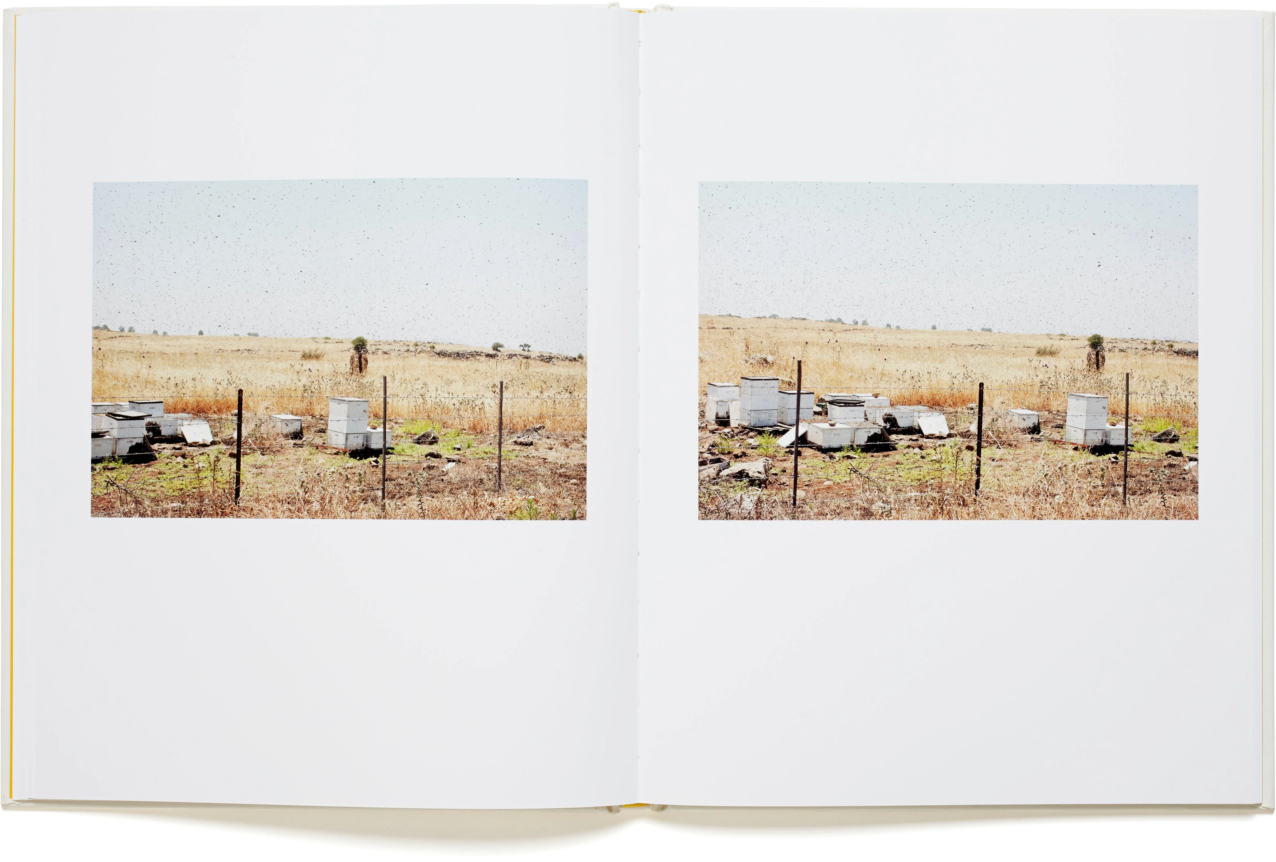 Field Trip - Image 7
