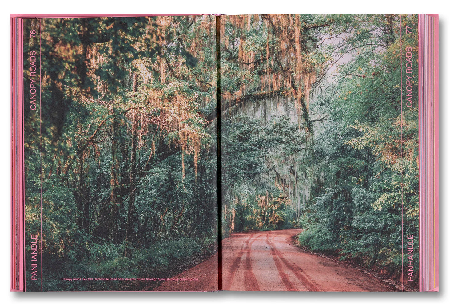 Florida! - Image 6