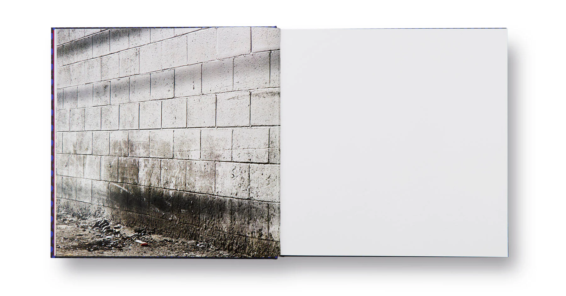 Forever - Image 10