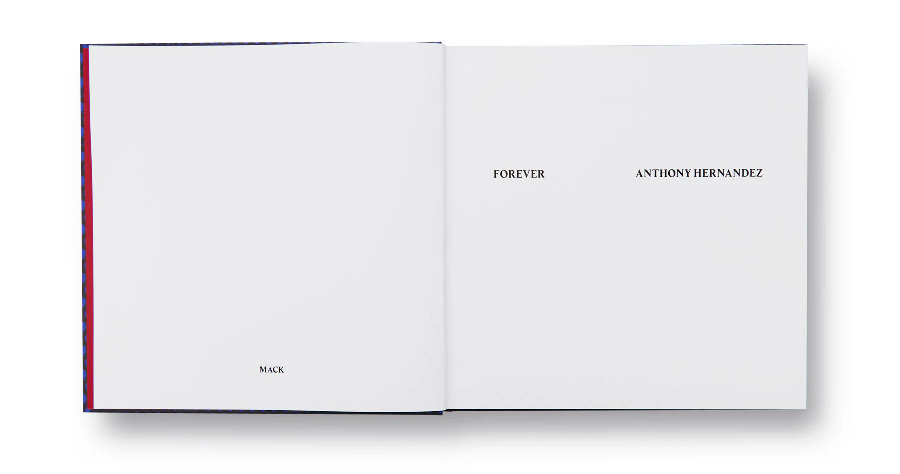 Forever - Image 4