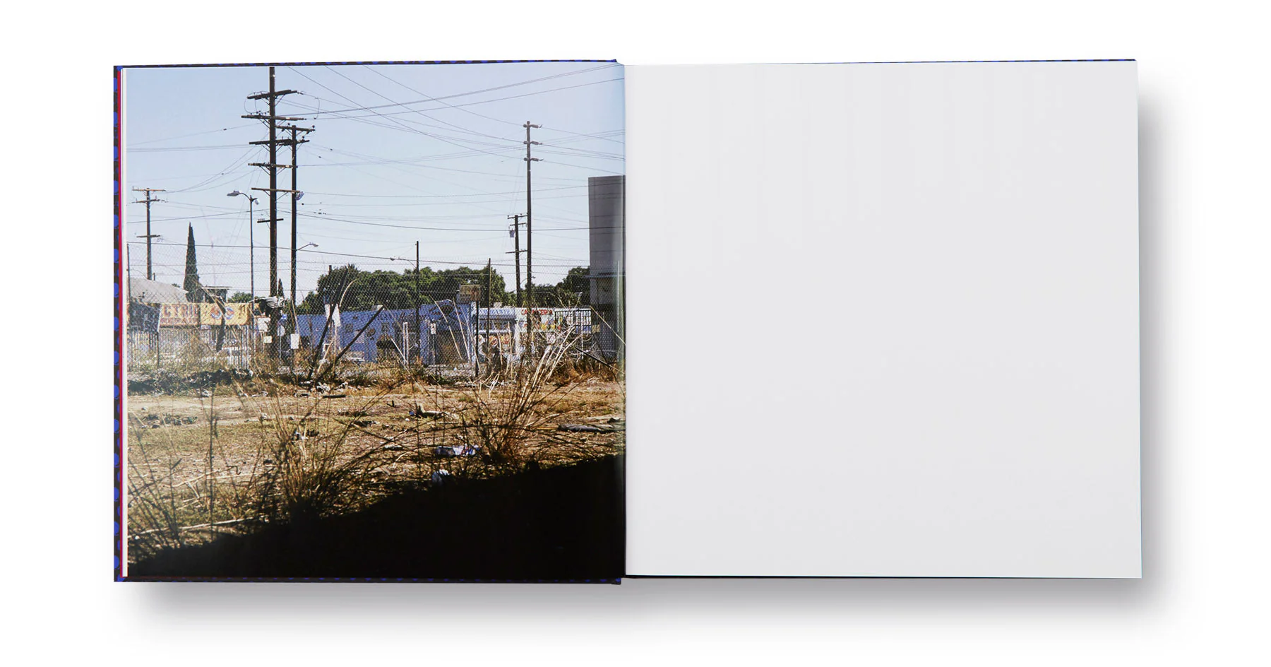 Forever - Image 8