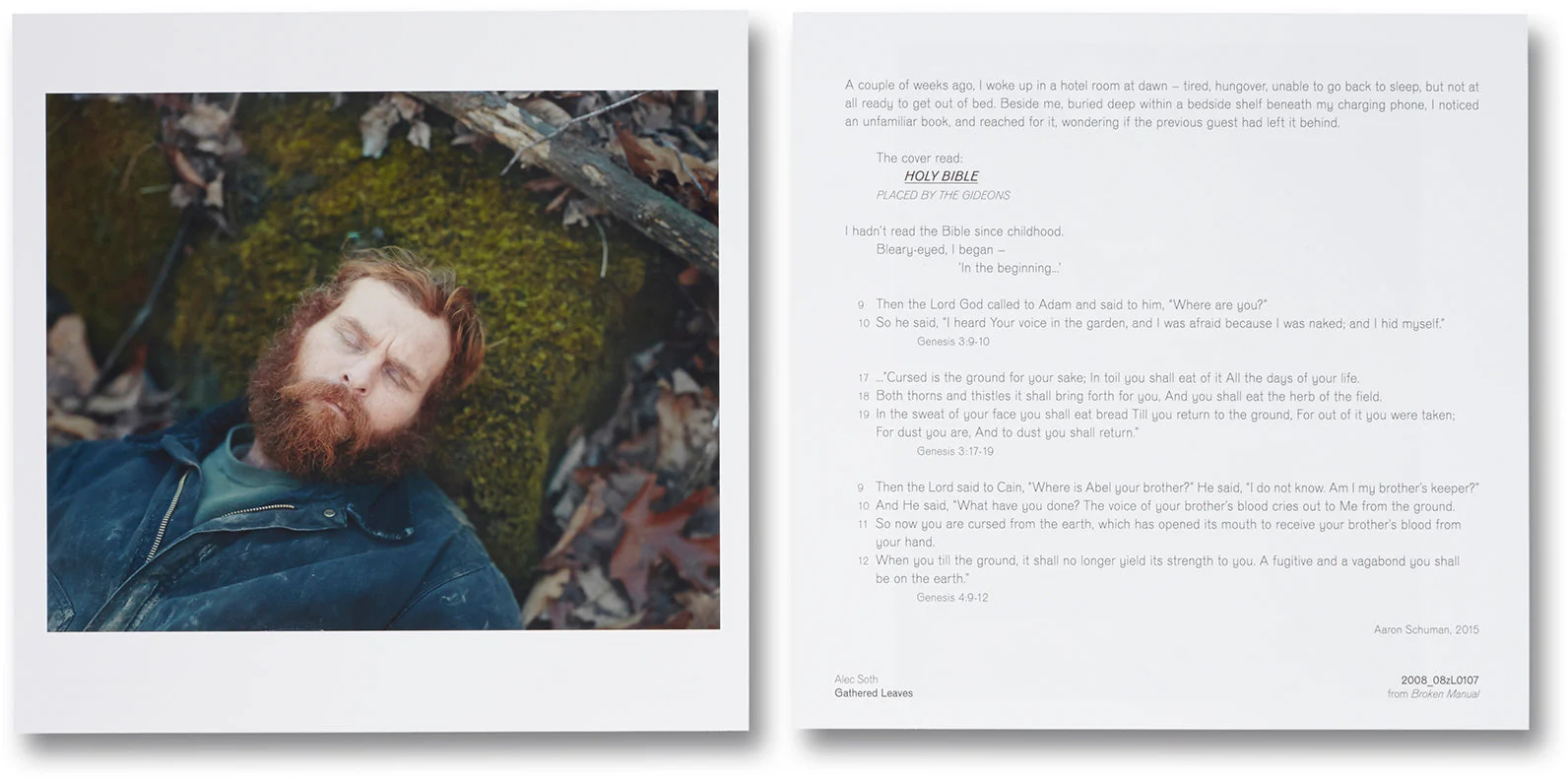 Gathered Leaves - Image 11