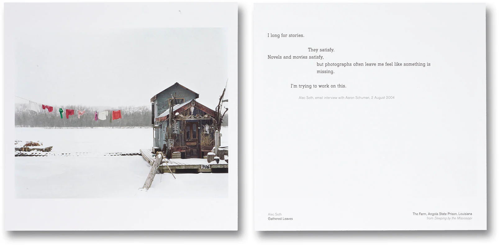Gathered Leaves - Image 6