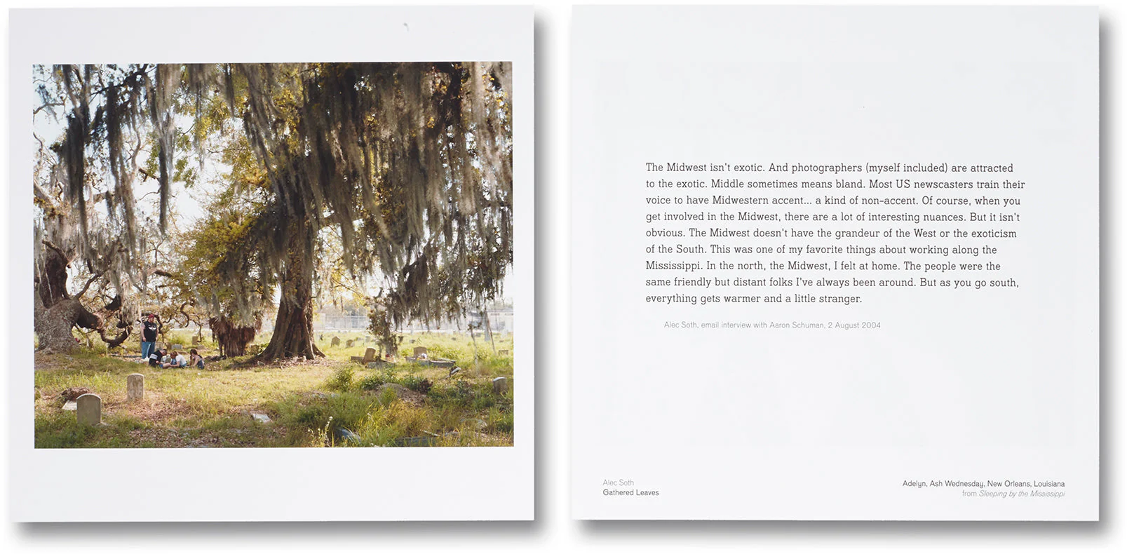 Gathered Leaves - Image 7
