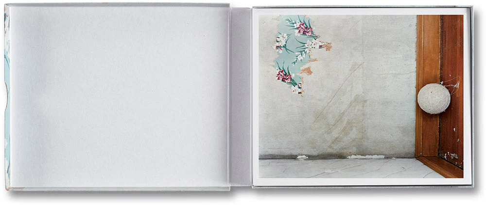 Gathered Leaves Postcards - Image 3