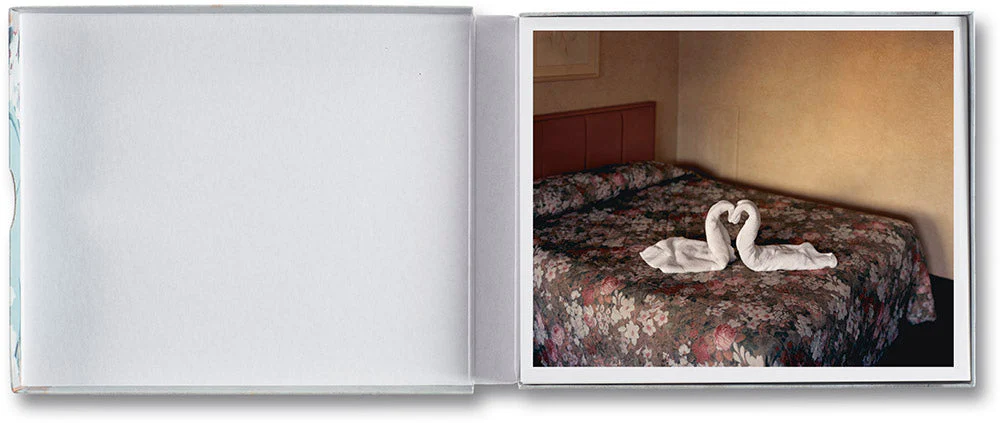 Gathered Leaves Postcards - Image 5