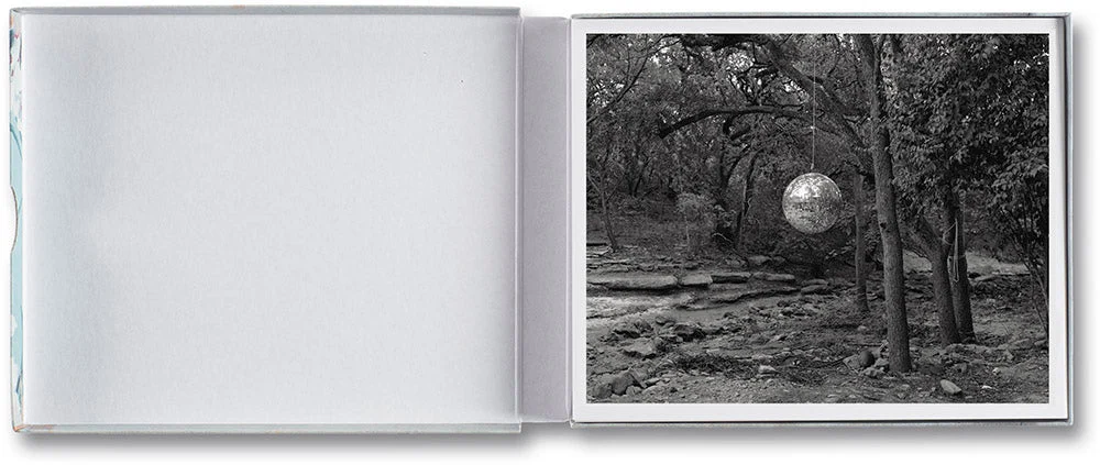 Gathered Leaves Postcards - Image 6