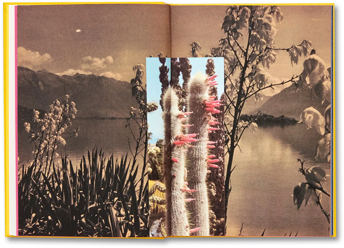 Handbook of the Spontaneous Other - Image 10