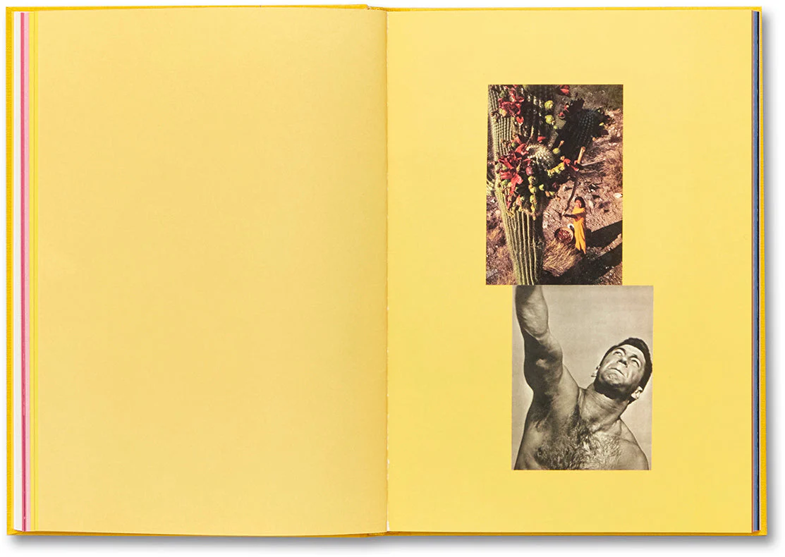 Handbook of the Spontaneous Other - Image 14