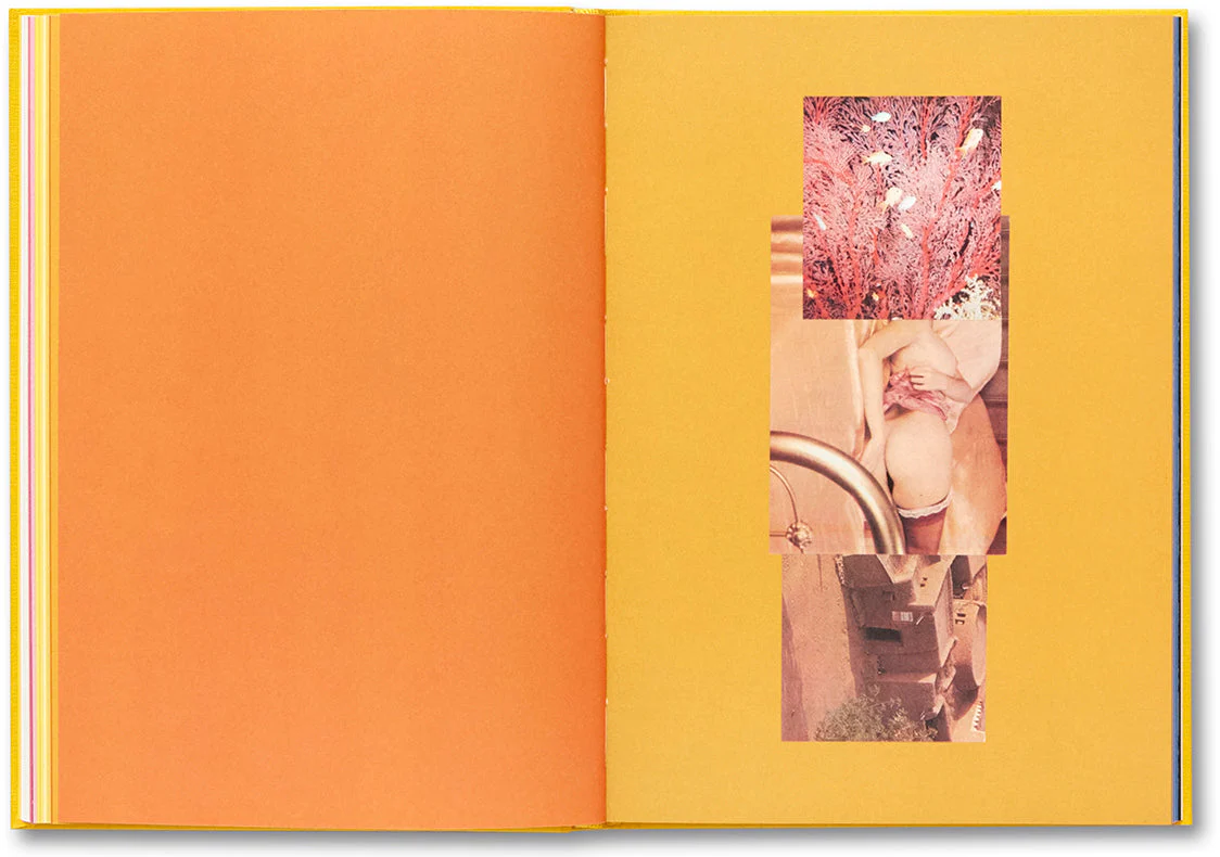 Handbook of the Spontaneous Other - Image 17
