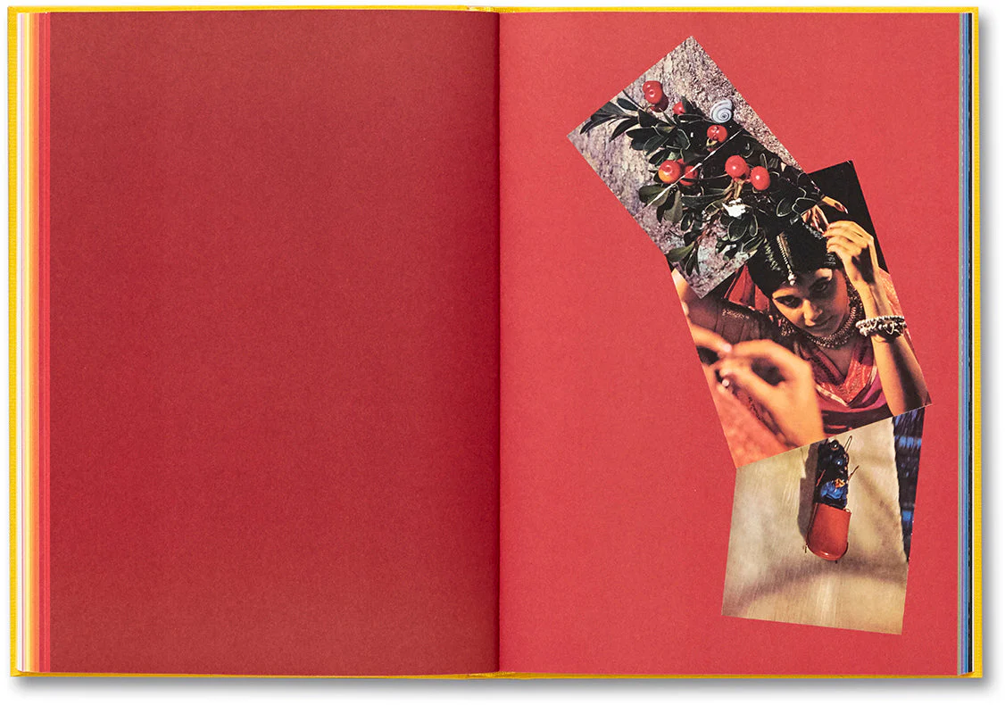 Handbook of the Spontaneous Other - Image 19
