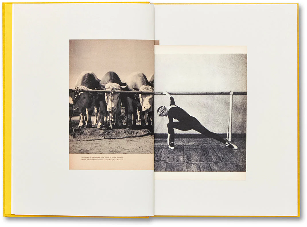 Handbook of the Spontaneous Other - Image 7