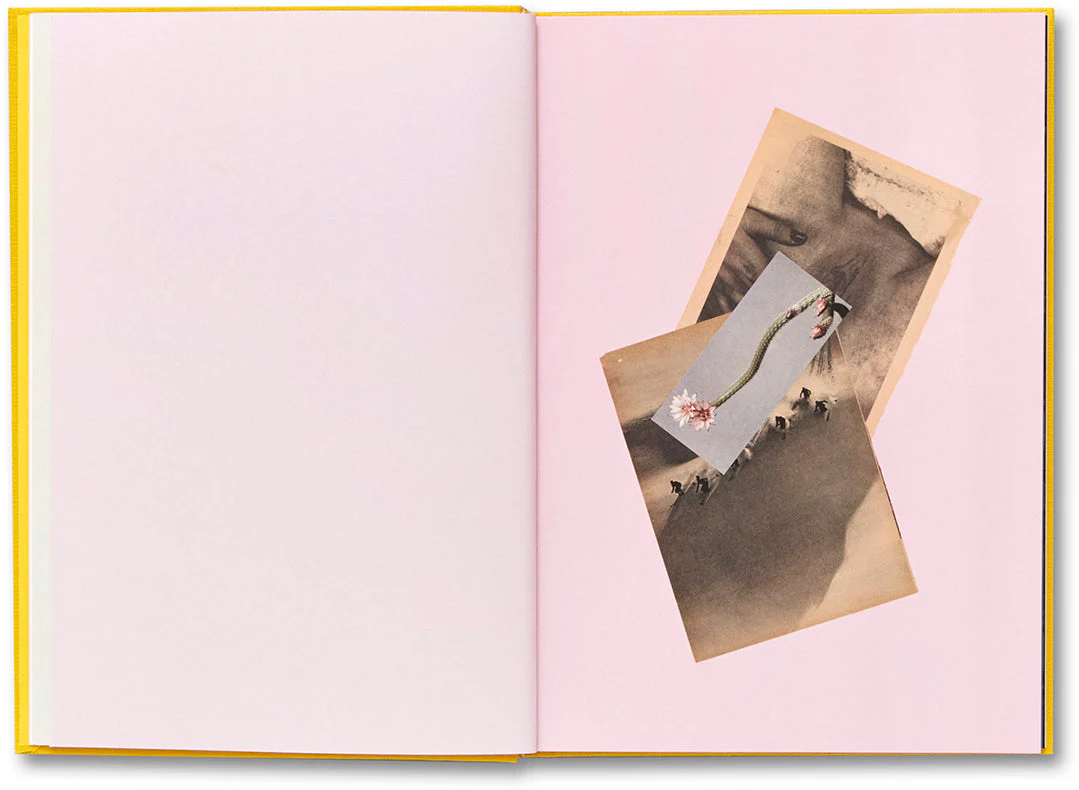 Handbook of the Spontaneous Other - Image 9