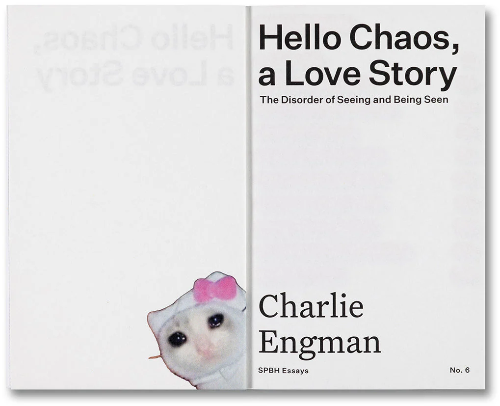 Hello Chaos, a Love Story: The Disorder of Seeing and Being Seen - Image 3