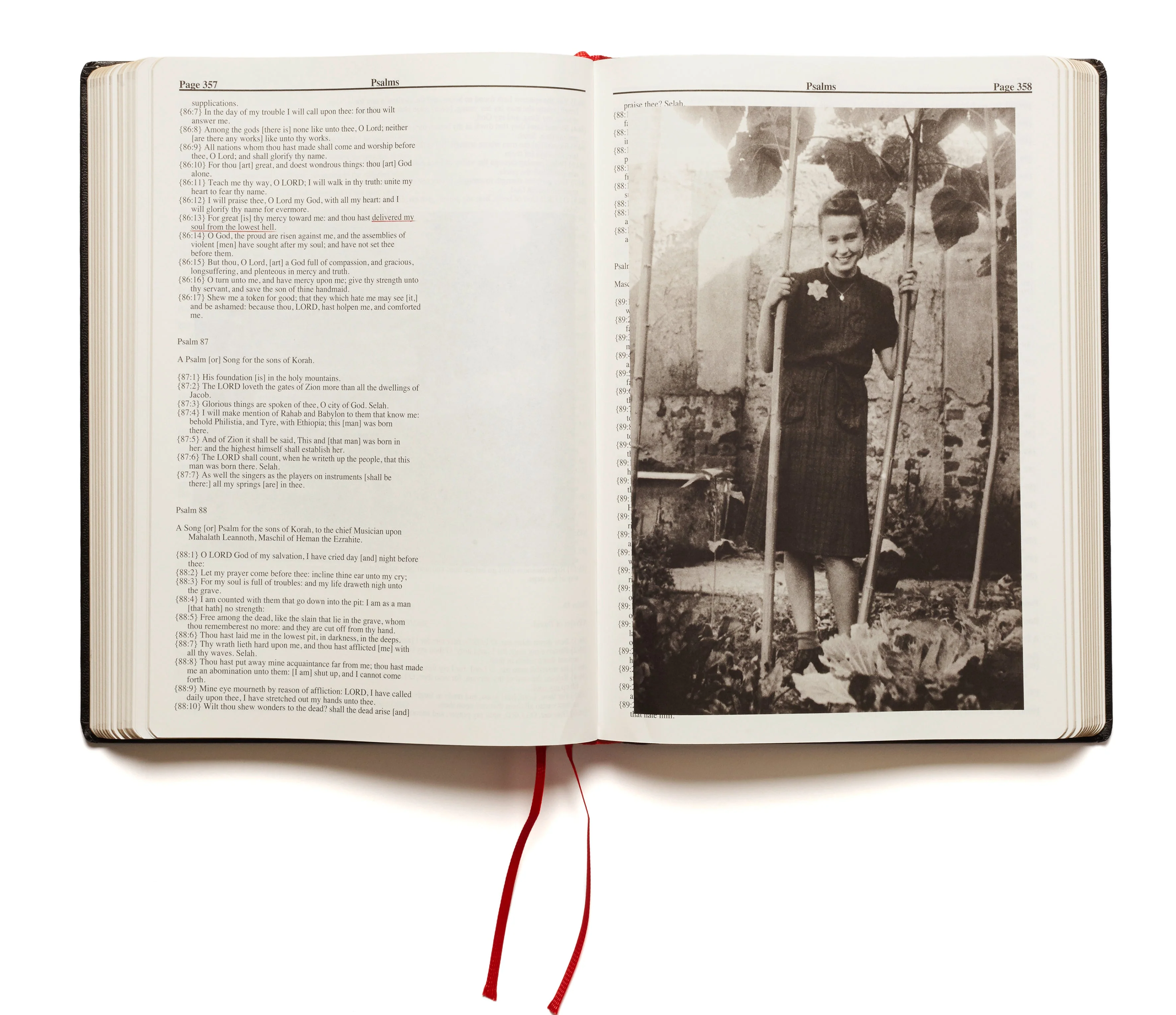 Holy Bible (First printing) - Image 19