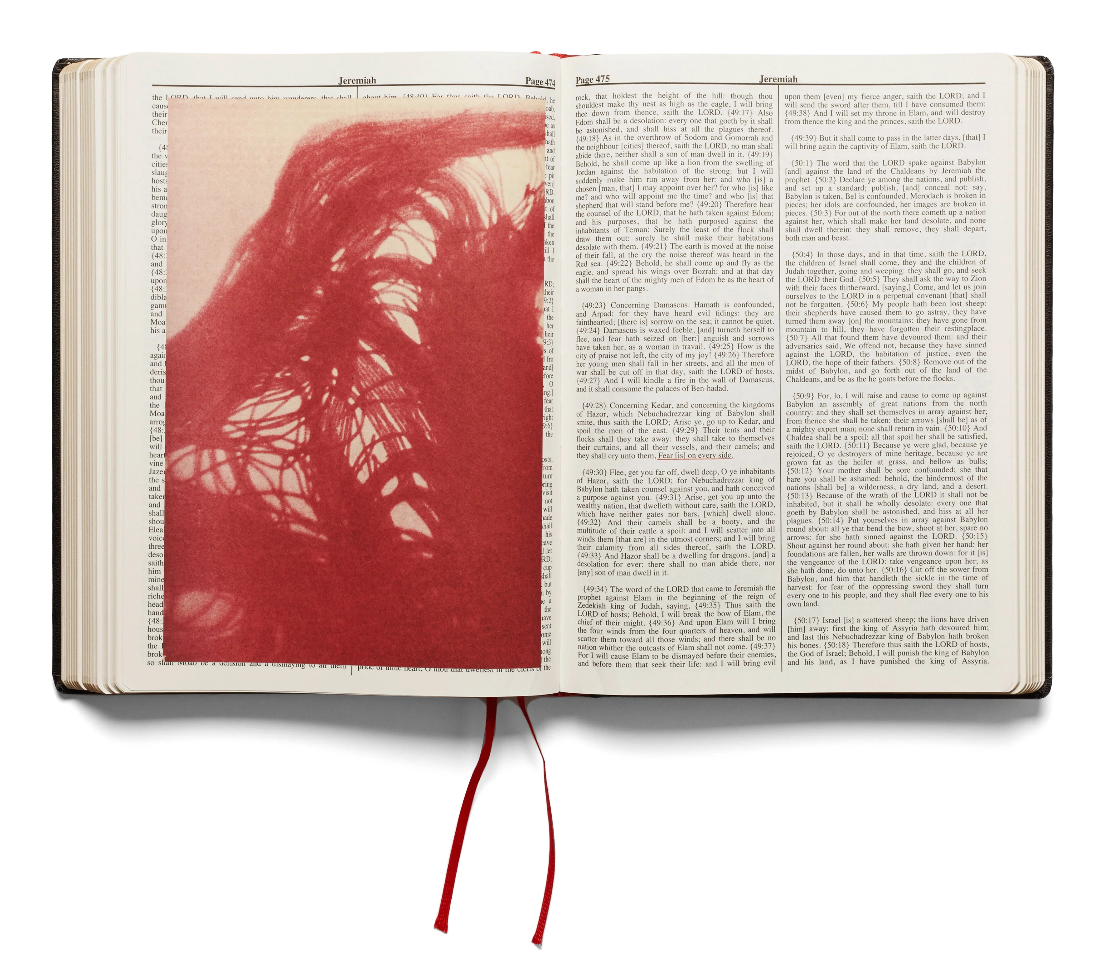 Holy Bible (First printing) - Image 22