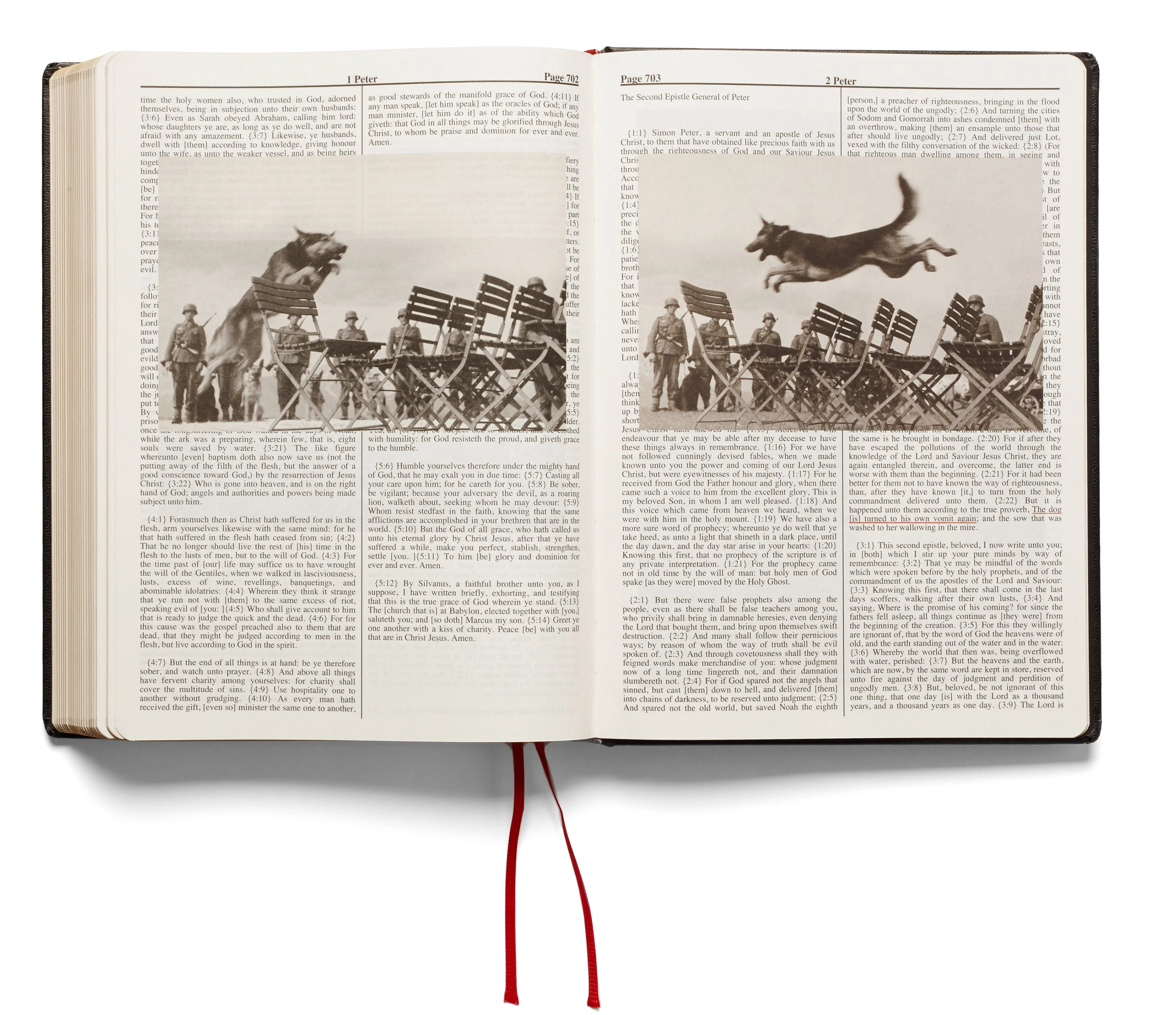 Holy Bible (First printing) - Image 26