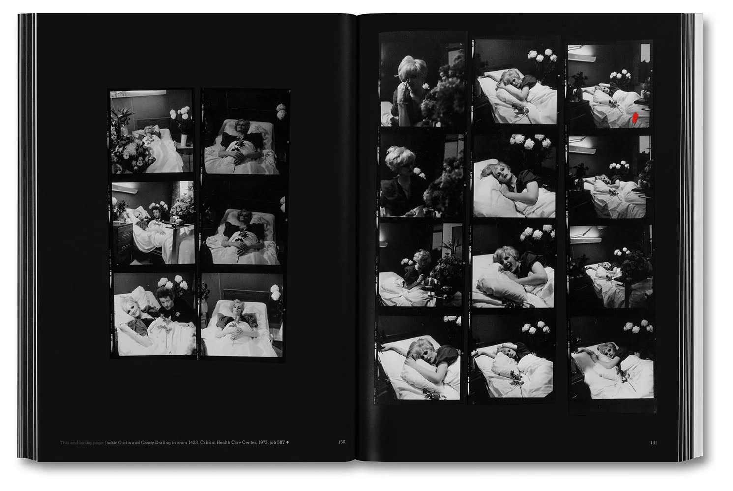 Hujar:Contact - Image 11