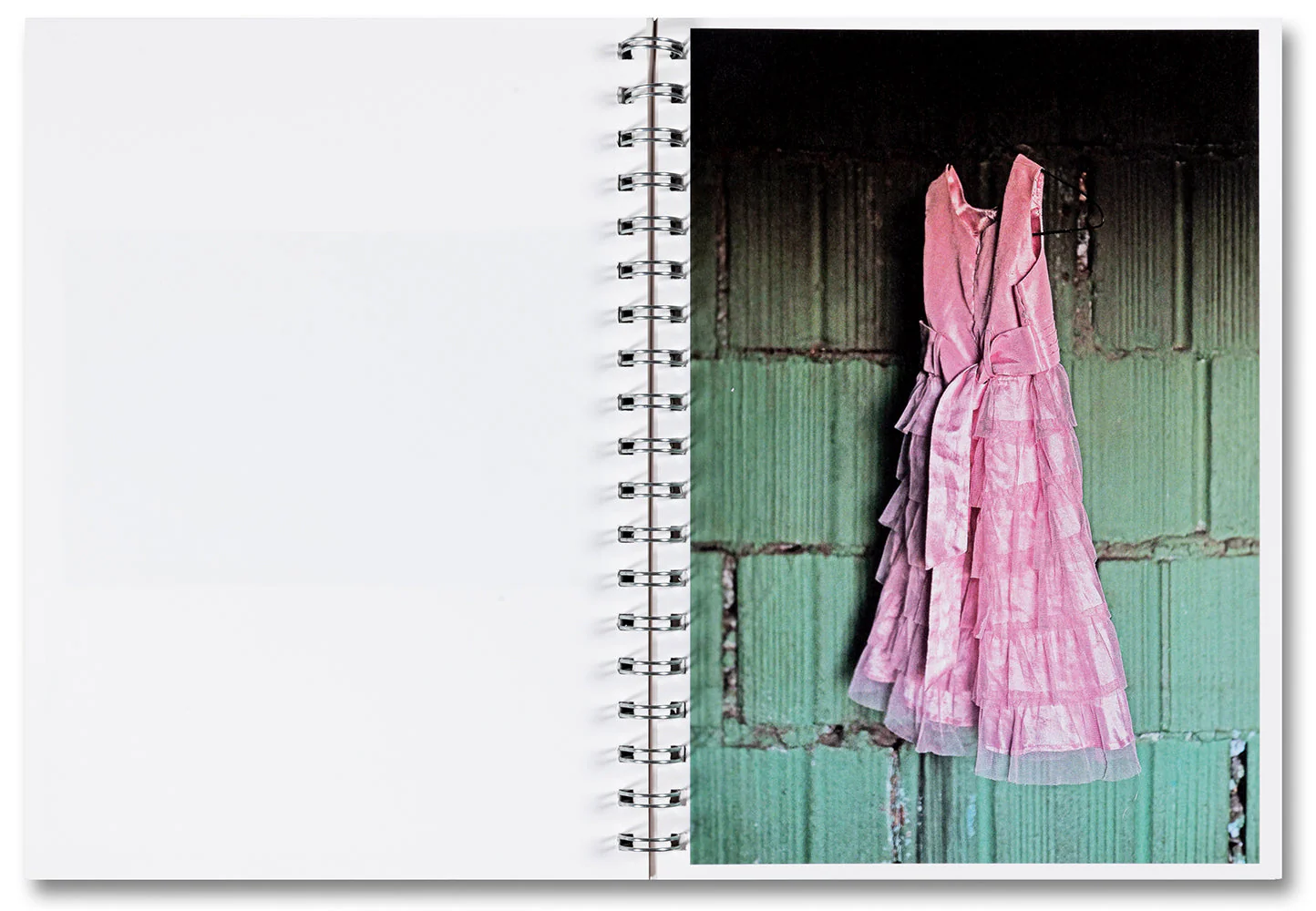 I carry Her photo with Me - Image 15