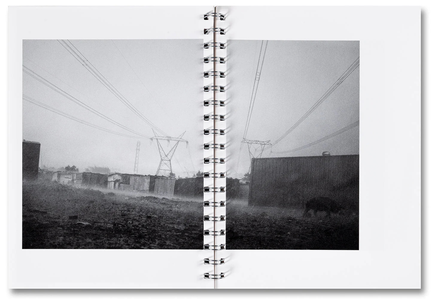 I carry Her photo with Me - Image 19