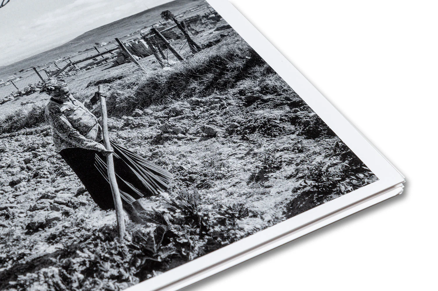 I carry Her photo with Me - Image 37