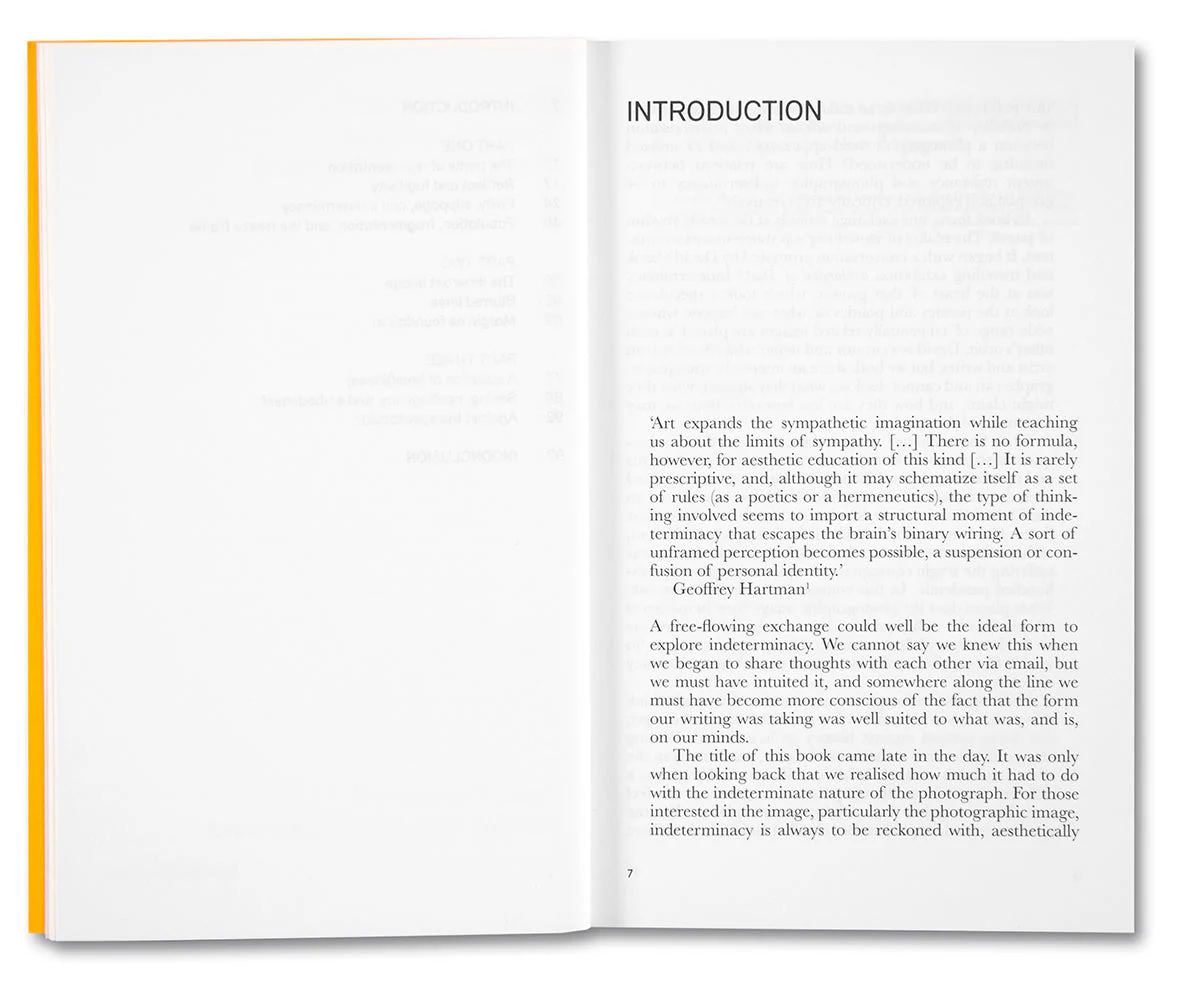 Indeterminacy: Thoughts on Time, the Image, and Race(ism) - Image 5