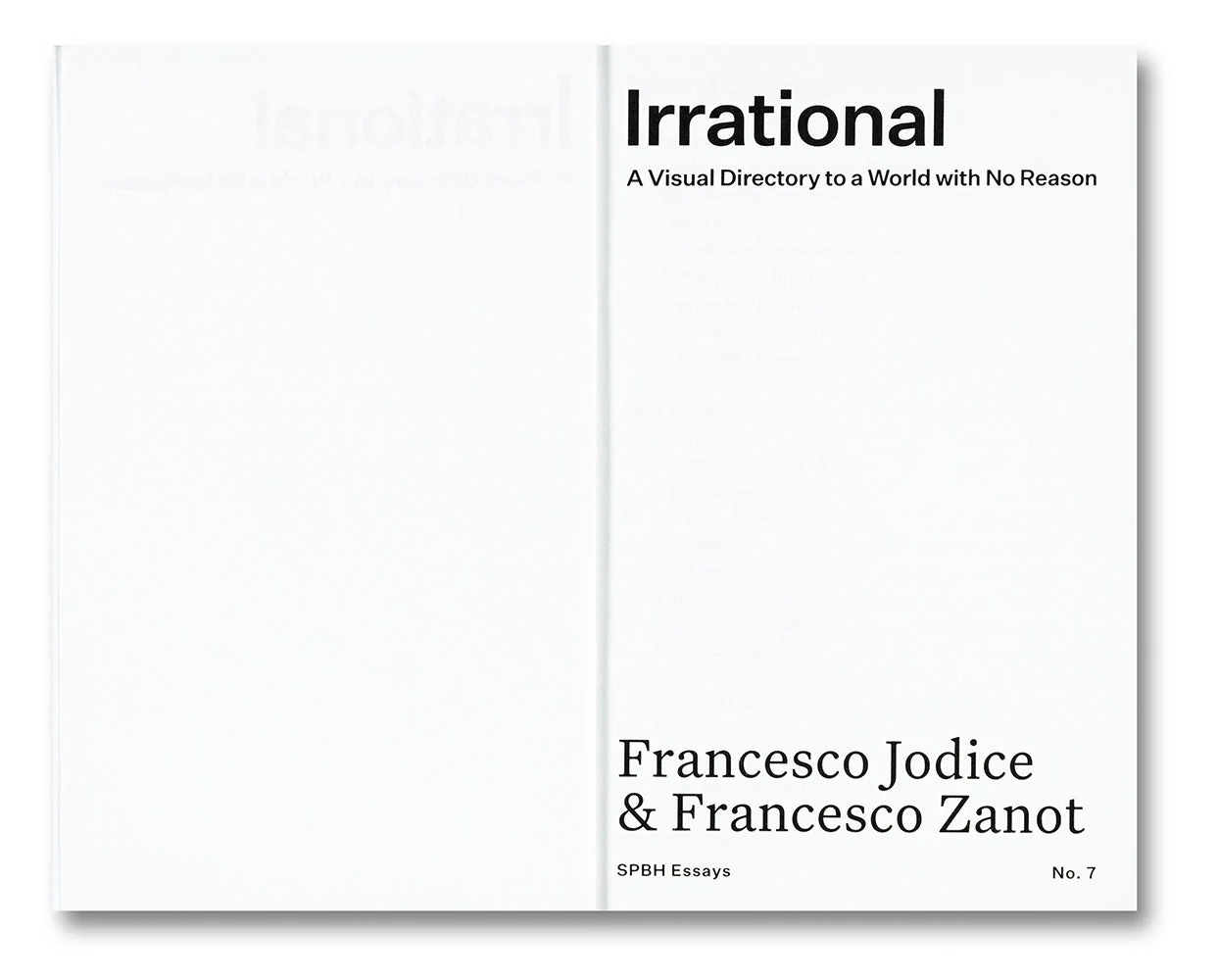 Irrational: A Visual Directory to a World with No Reason - Image 2