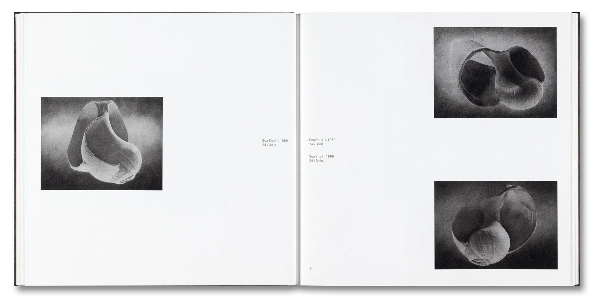 Kunié Sugiura - Image 11