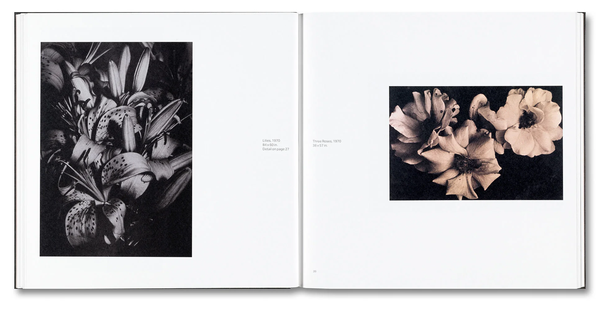 Kunié Sugiura - Image 12