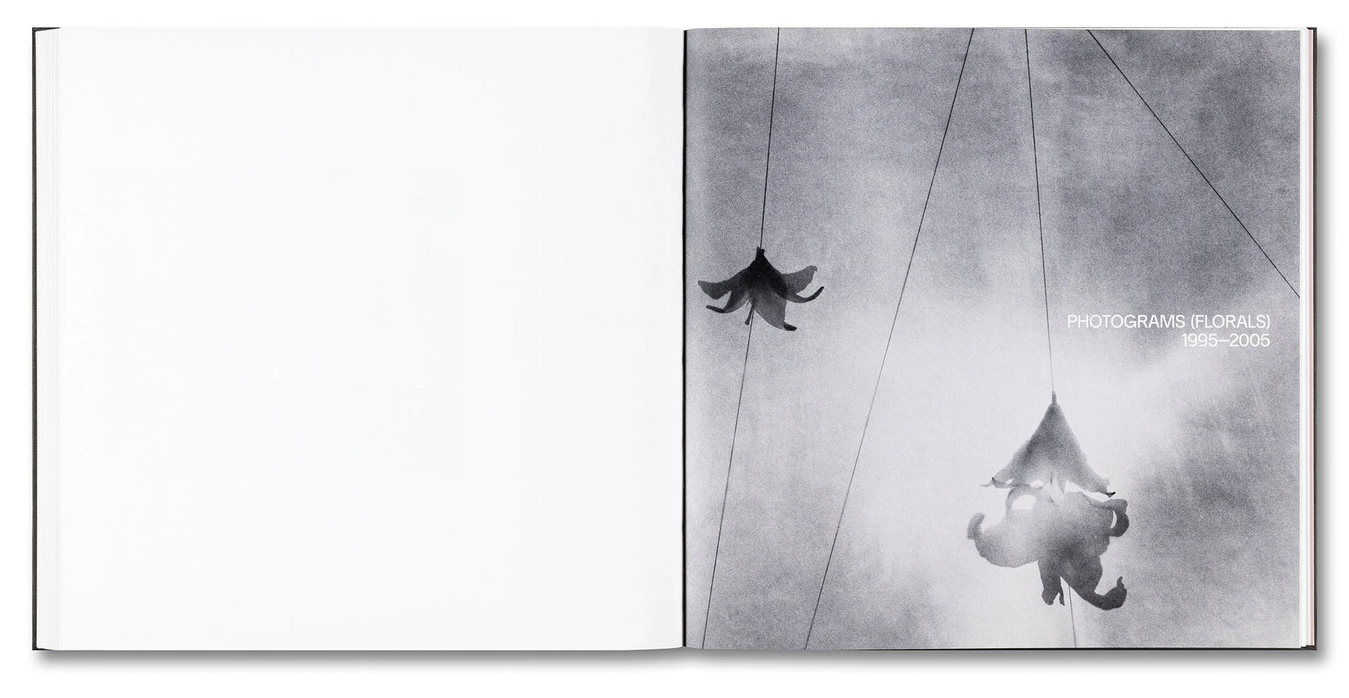 Kunié Sugiura - Image 20