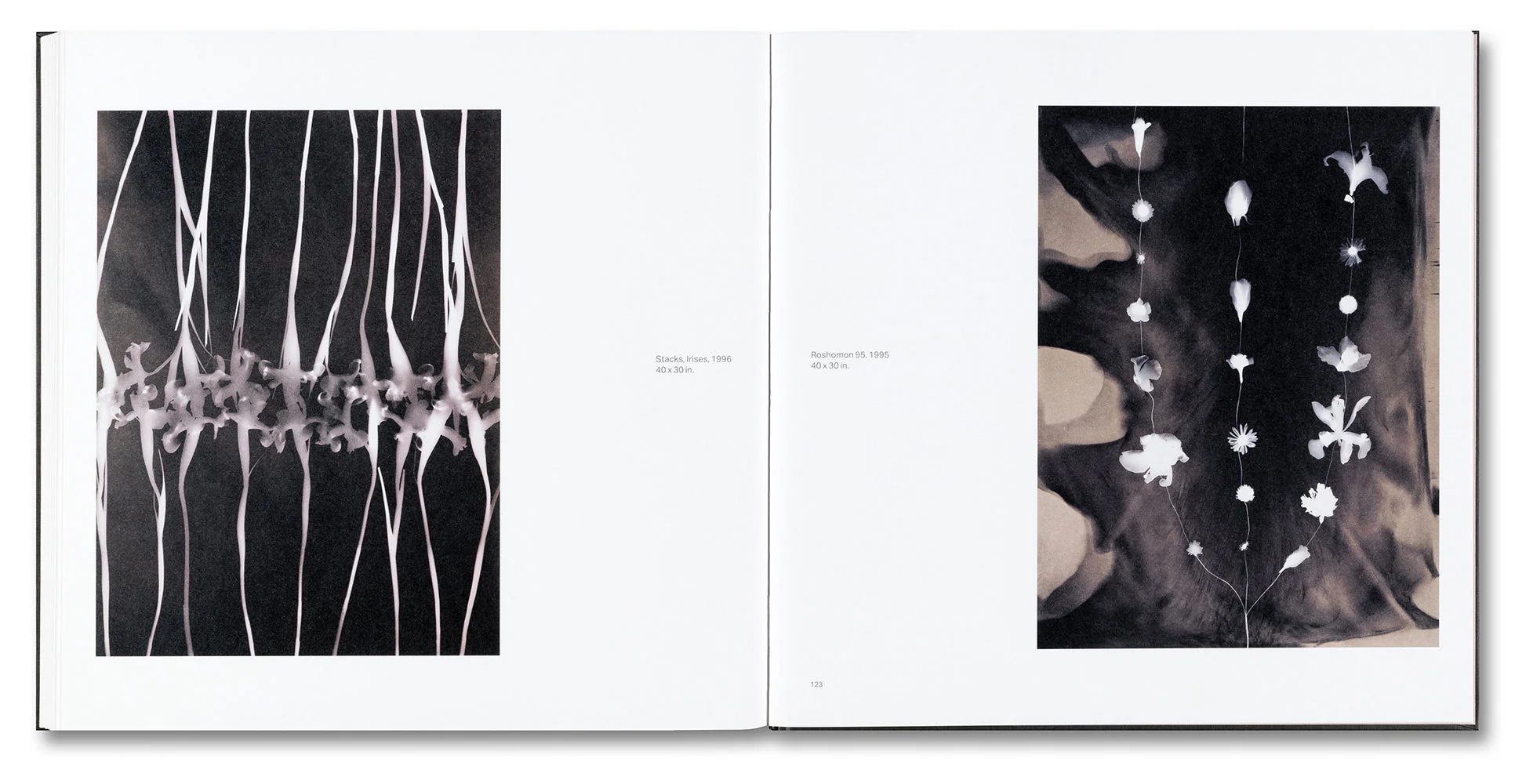 Kunié Sugiura - Image 23