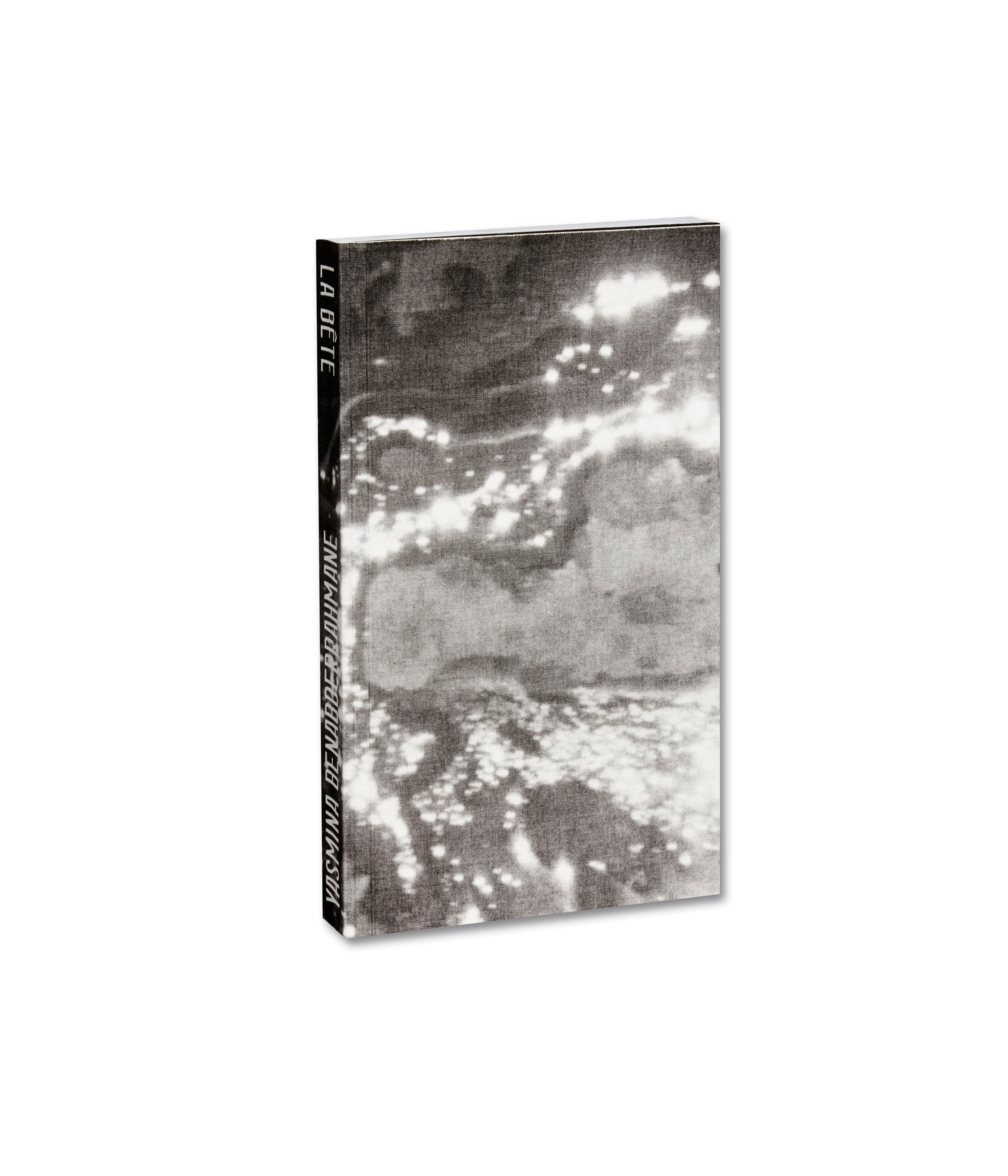 La Bête A Modern Tale [English Edition]