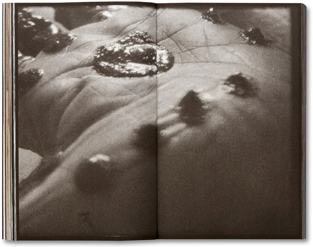 La Bête A Modern Tale [English Edition] - Image 16