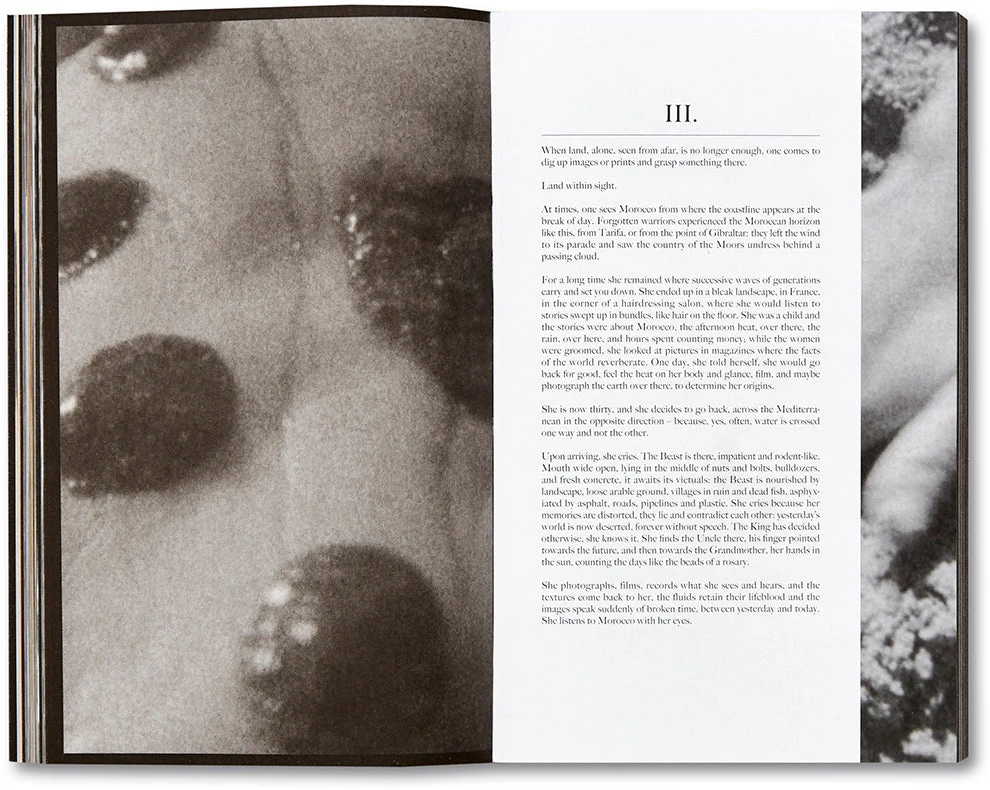 La Bête A Modern Tale [English Edition] - Image 17