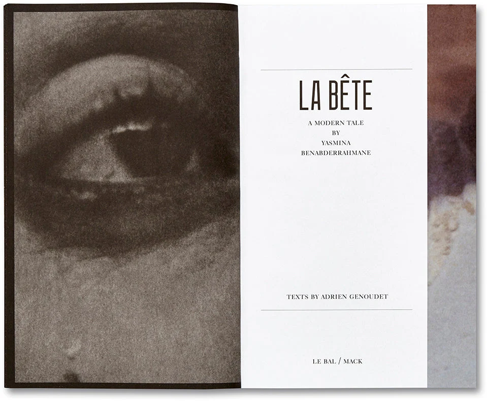 La Bête A Modern Tale [English Edition] - Image 5