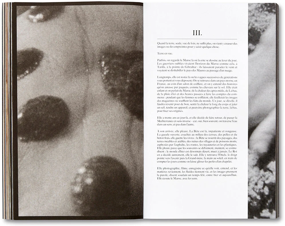 La Bête un conte moderne [French Edition] - Image 17