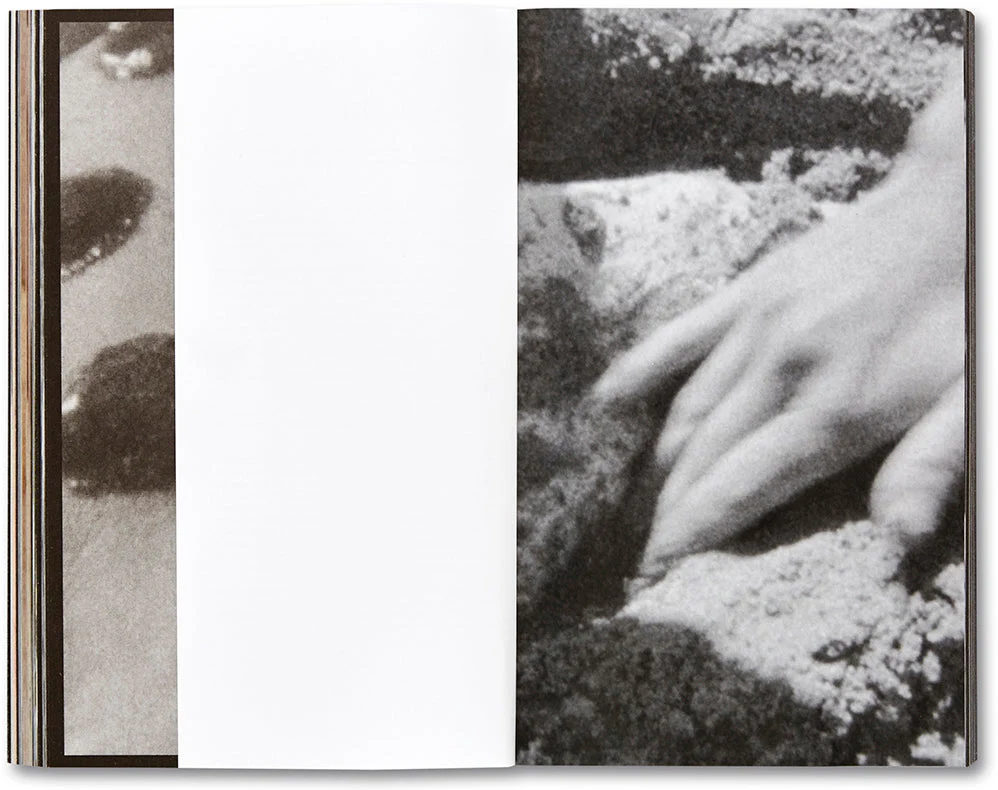La Bête un conte moderne [French Edition] - Image 18