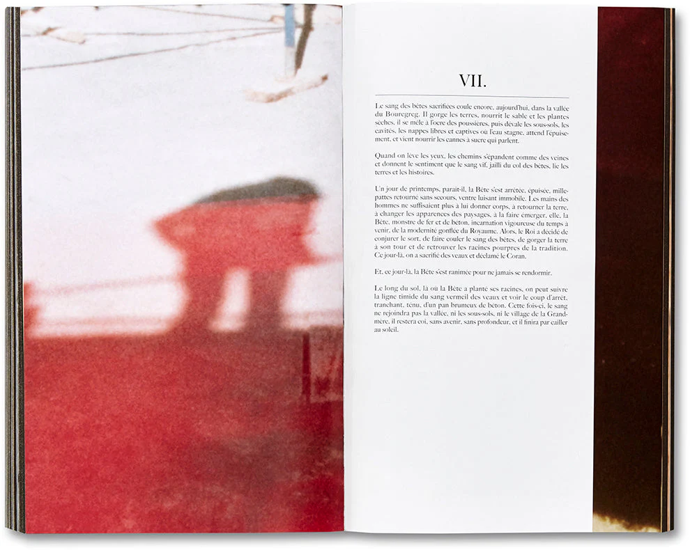 La Bête un conte moderne [French Edition] - Image 31