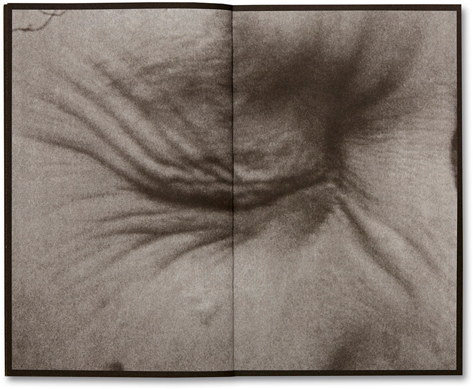 La Bête un conte moderne [French Edition] - Image 4