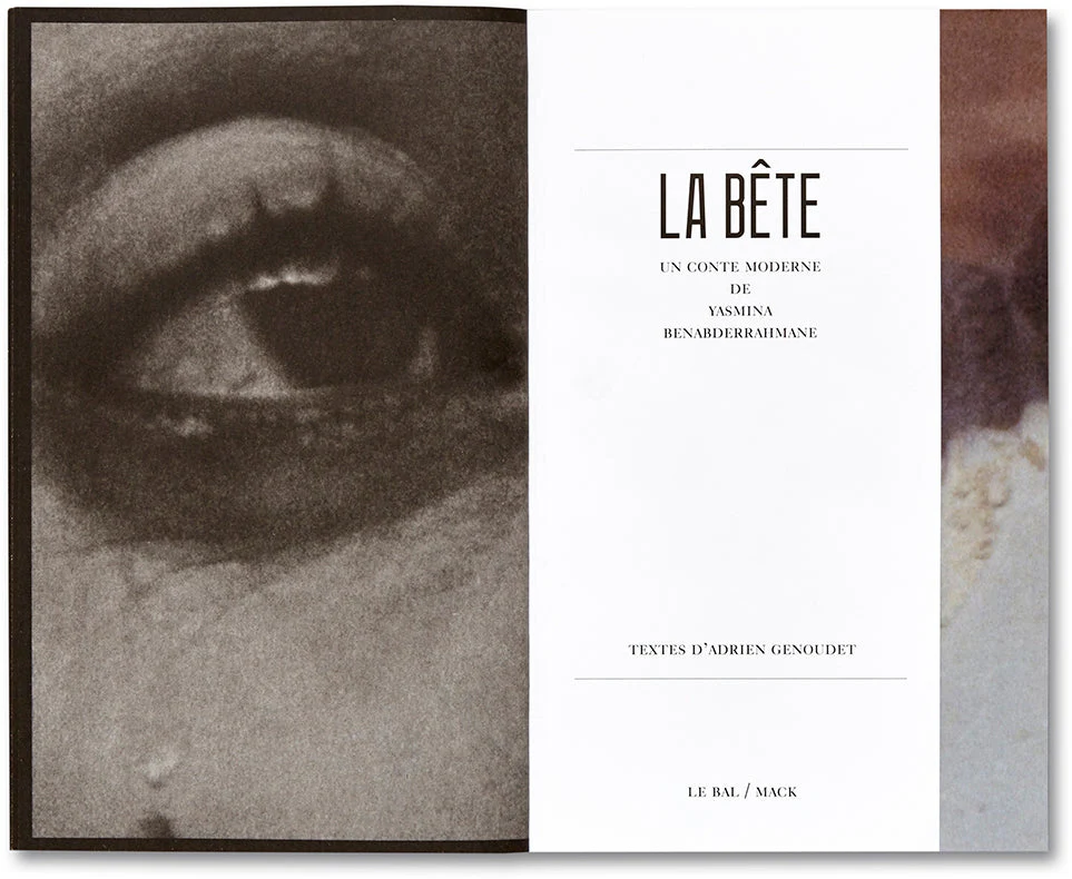 La Bête un conte moderne [French Edition] - Image 5