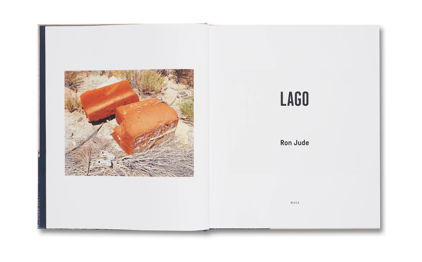 Lago - Image 4