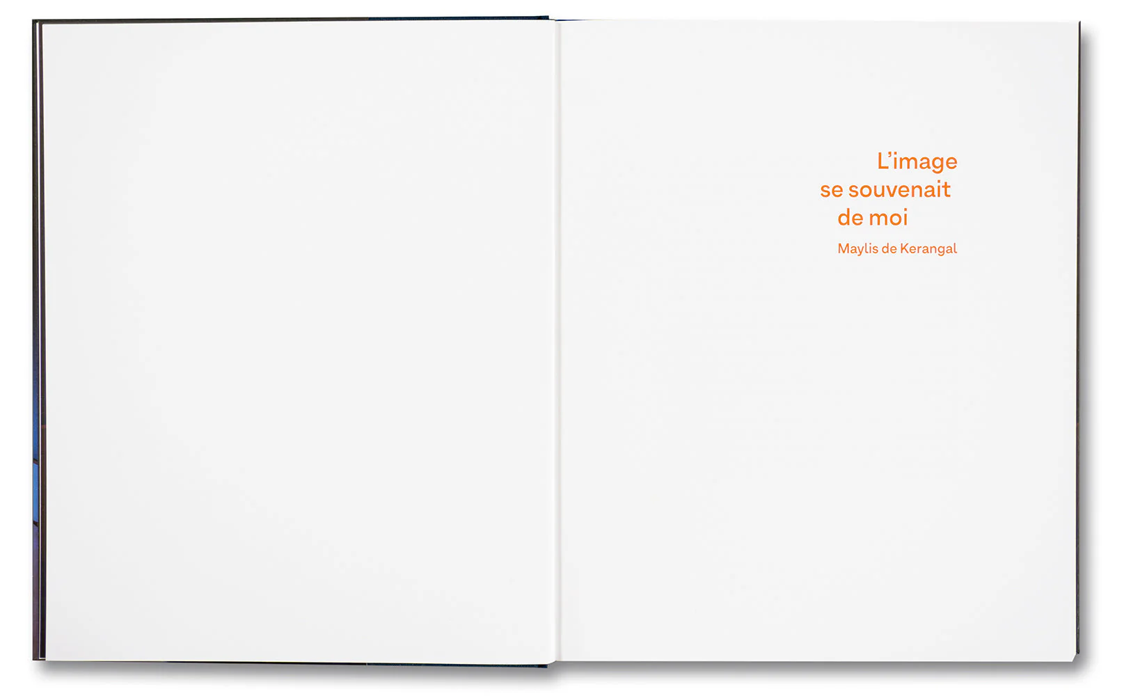 Le bégaiement de l’histoire - Image 7