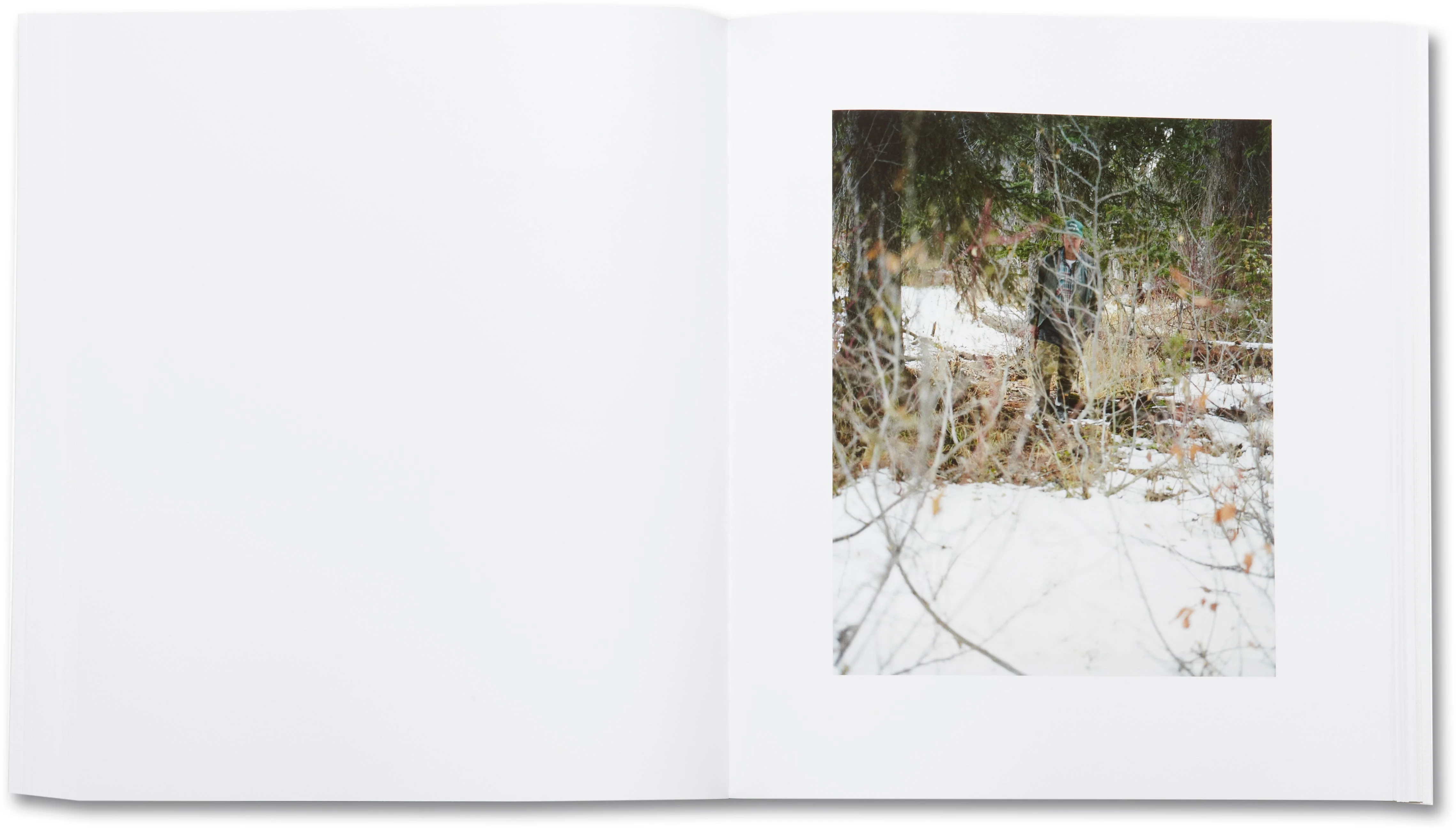 Lick Creek Line - Image 4